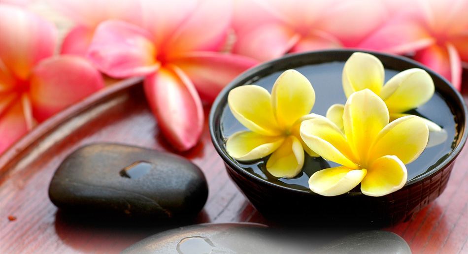 无缝数据对接的无限循环呼叫手机号软件